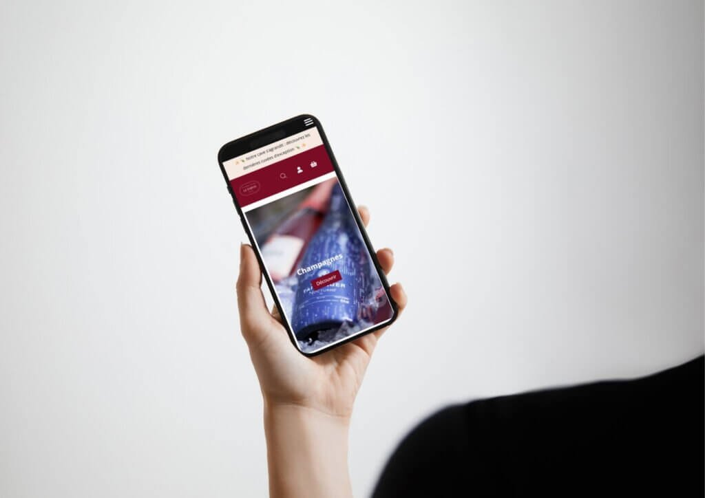 Image version mobile site web Le PARVIS